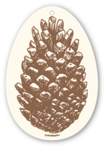 pine cone