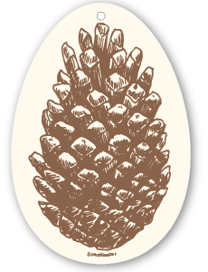 pine cone
