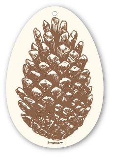 pine cone